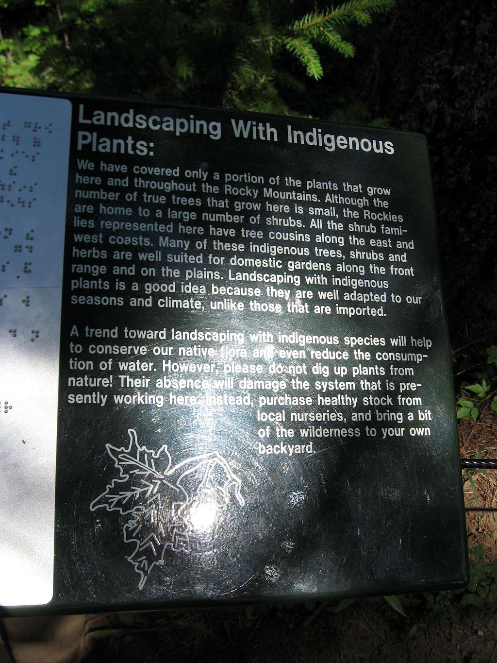 Landscaping with indigenous plants
