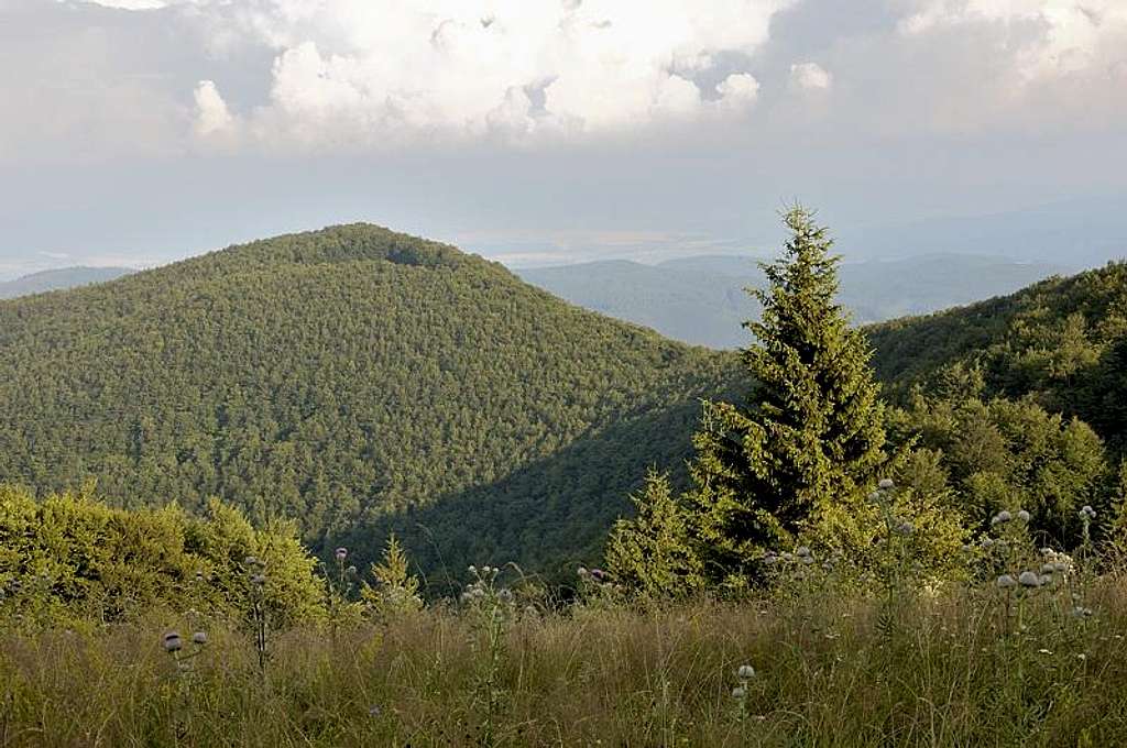 Mt Bukovec from Mt Reváň