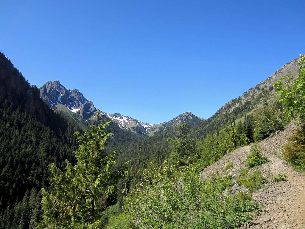 Big Quilcene Trail (#833.1)