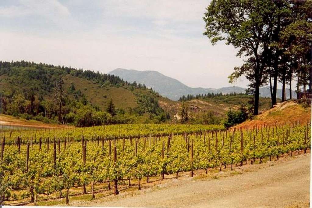 Mount Saint Helena from the...