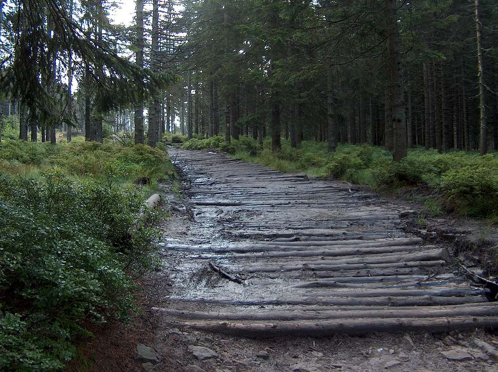 Boggy section of the trail to Barania Góra from the Przysłop hut