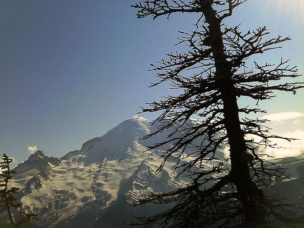 Mount Rainier from Antler