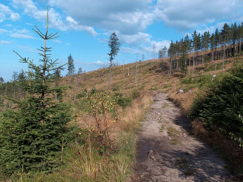 Ridge trail from Barania Góra to Magurka Wiślańska