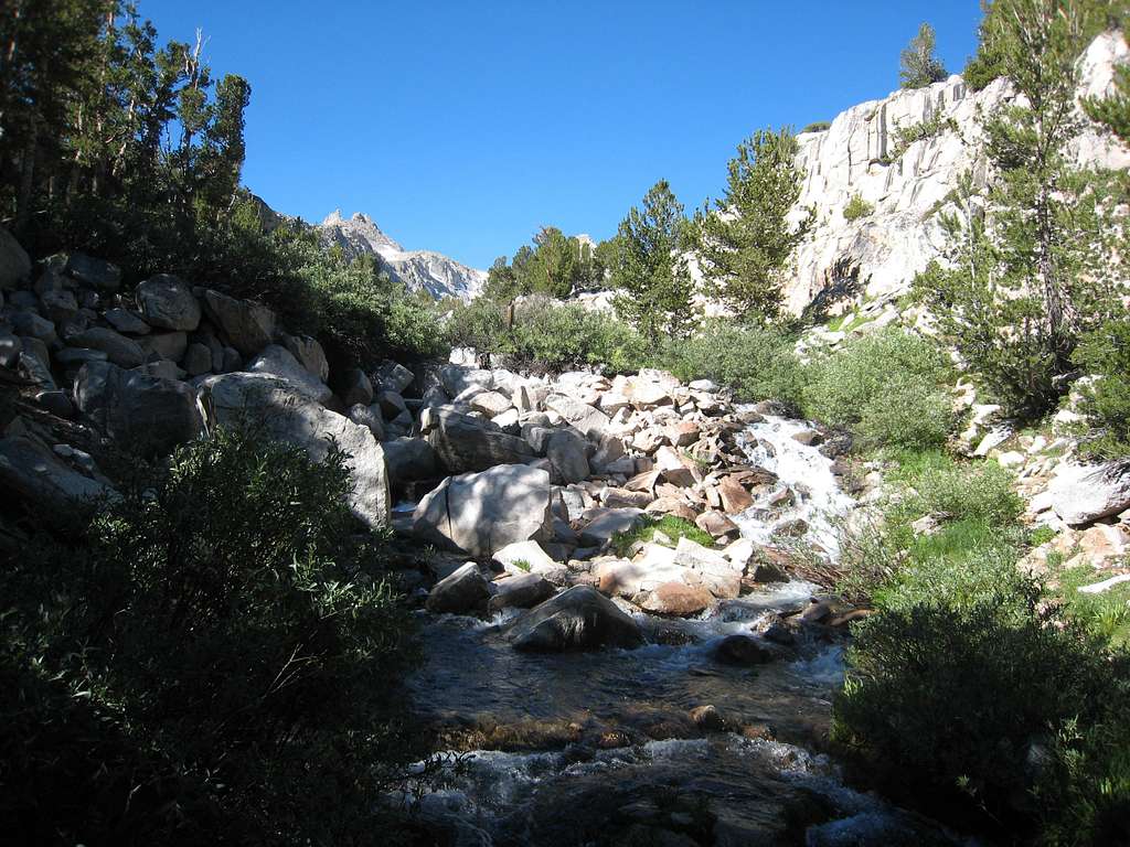 Lamarck Creek