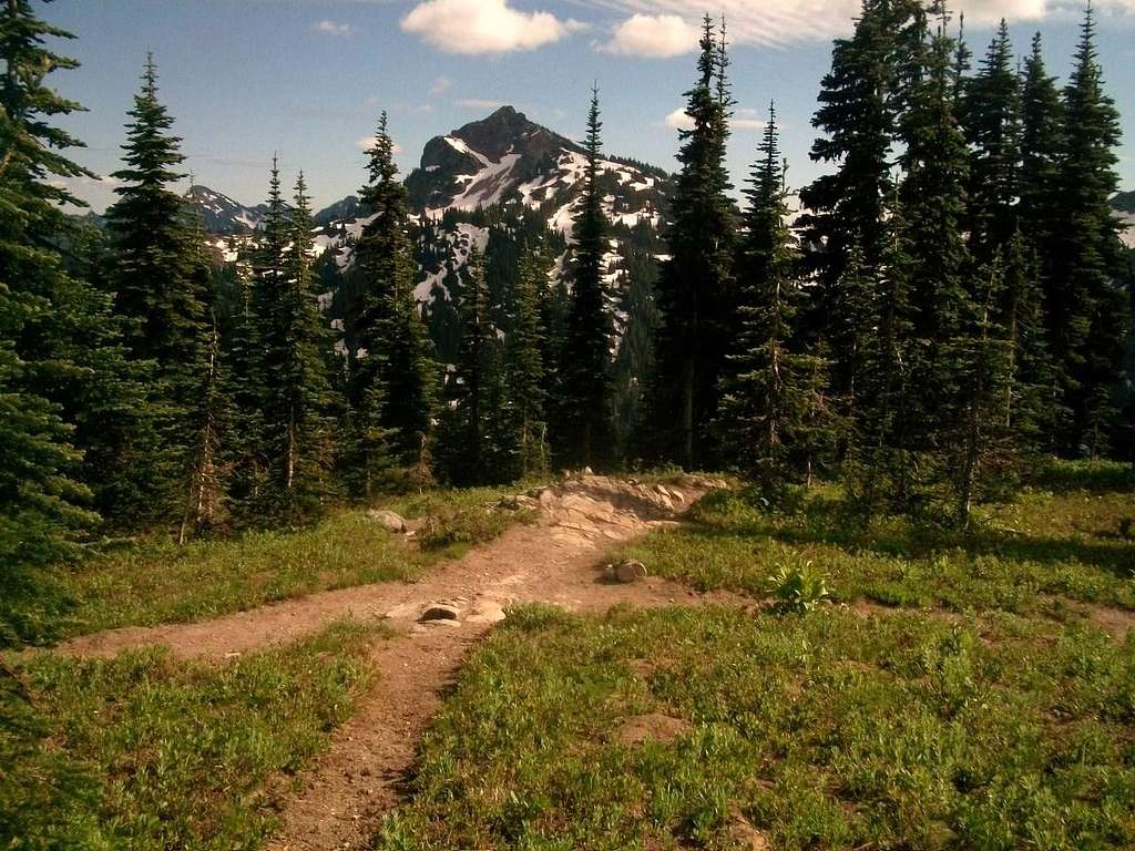 The trail junction with the PCT