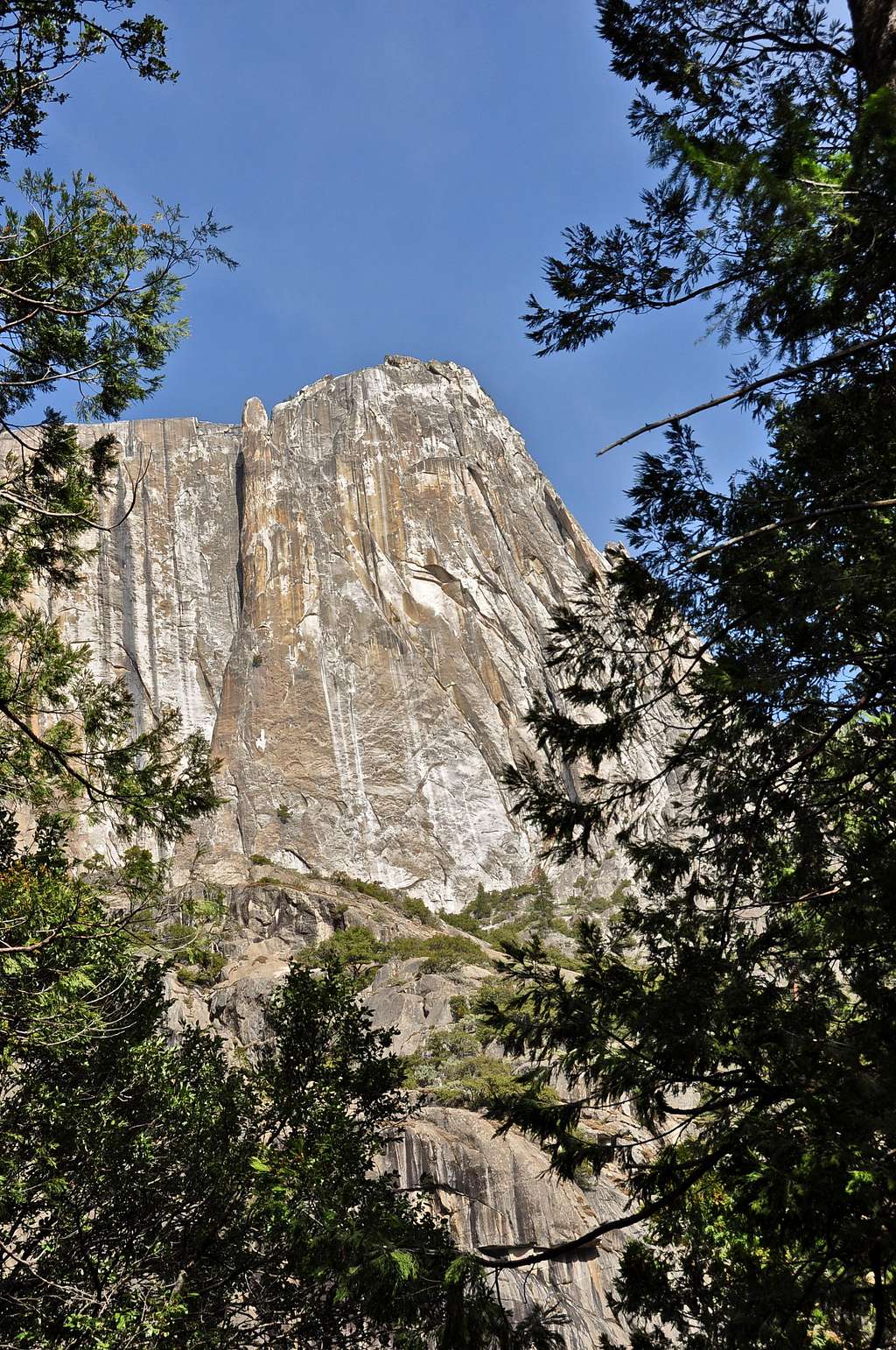 Yosemite Point and Lost Arrow