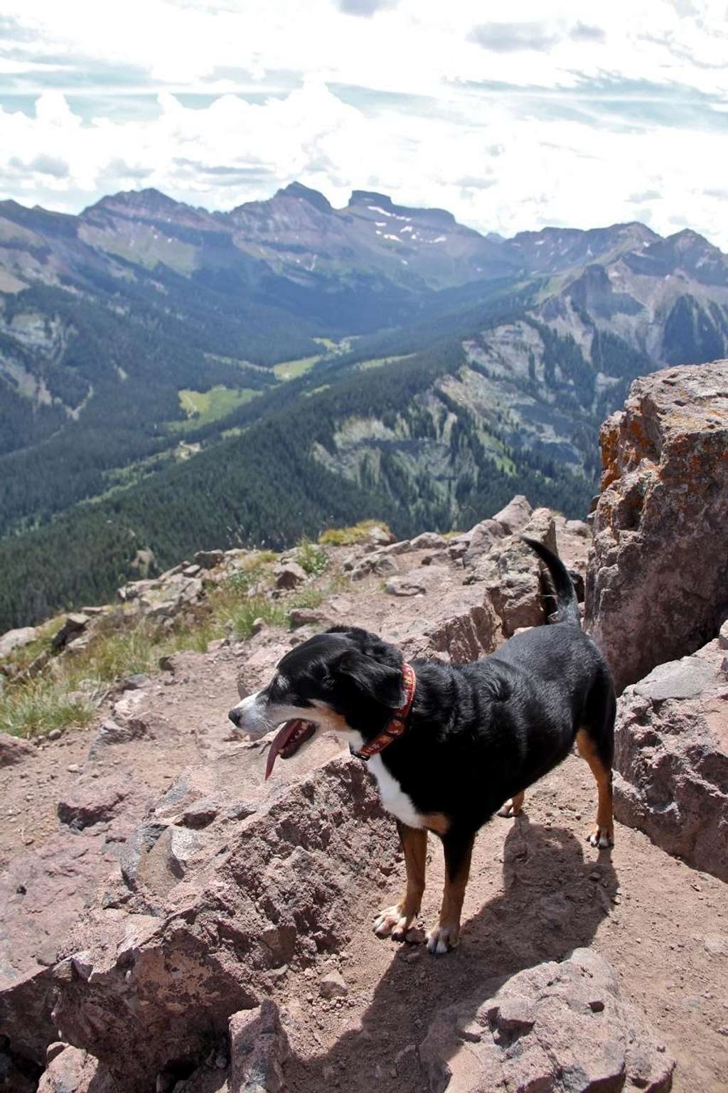 Duchess on top of Courthouse Mountain