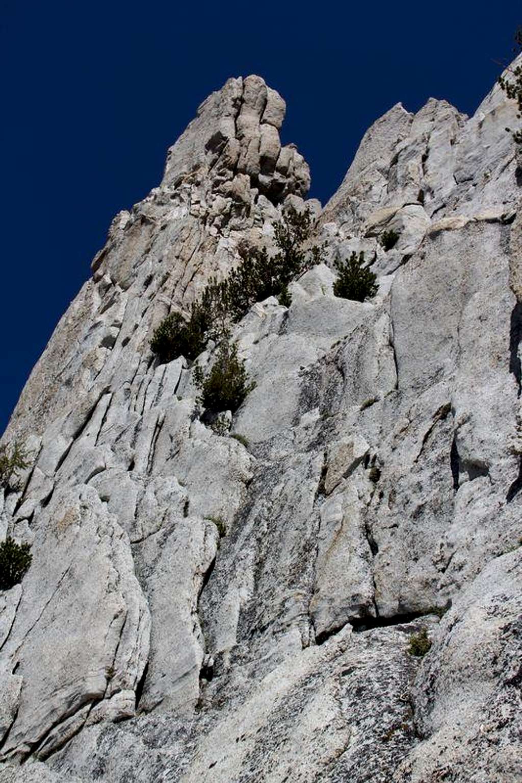 Cathedral Peak - South Face