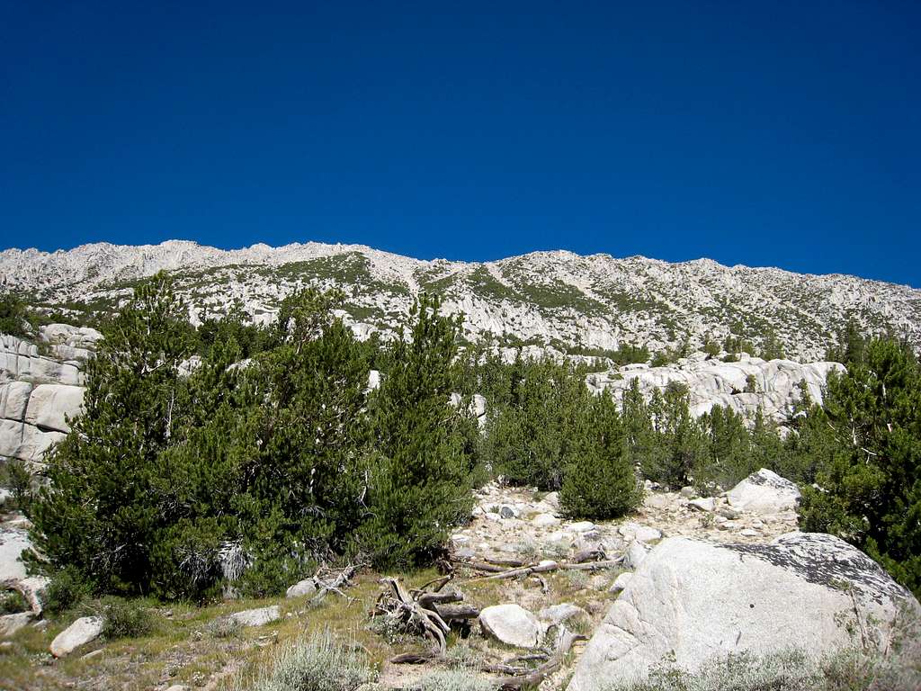 Southeast Slope of Mt Starr