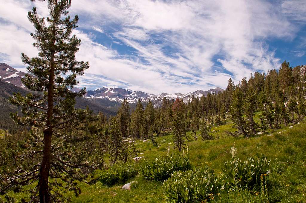 Trail to Gaylor Lakes