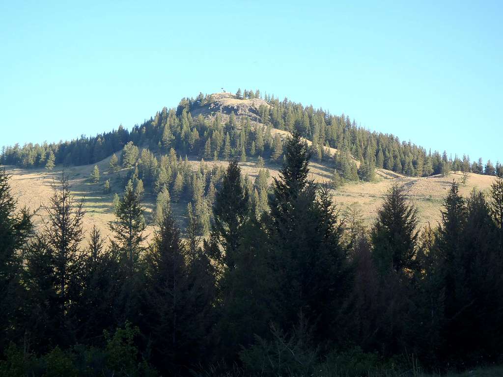 Bodie Mountain