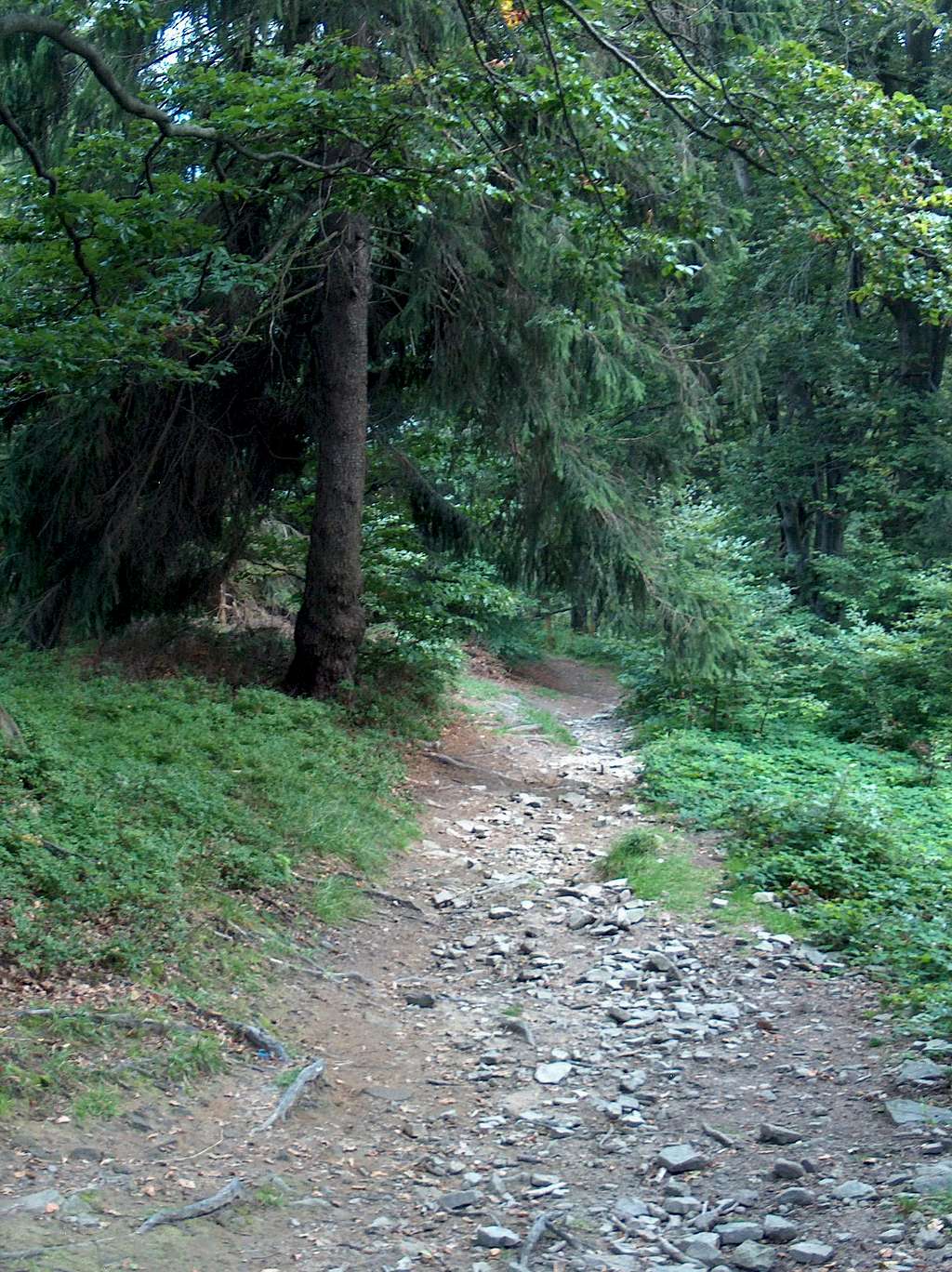 Trail on Równica