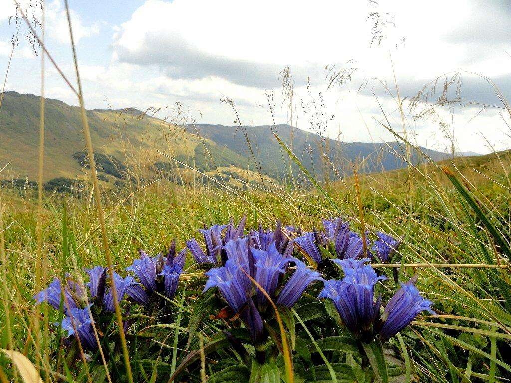 Mount Tarnica - Our hike – August 23, 2011