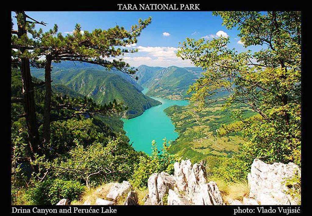 Tara summit view to Drina Canyon