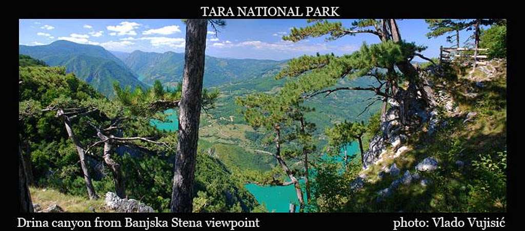Tara summit view
