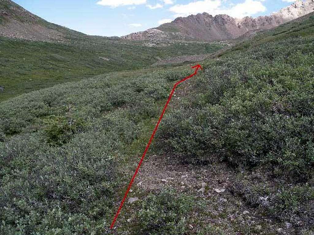 Trail above 12,000'