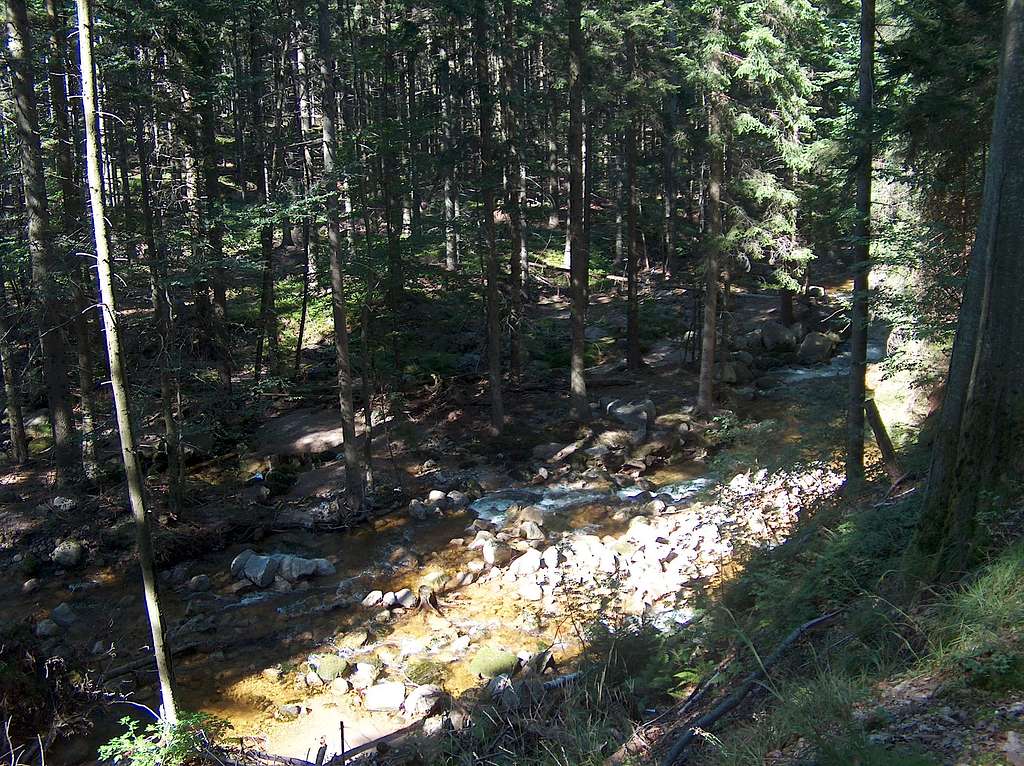 Yellow-coloured mountain brook on the hillsides of Karkonosze.
