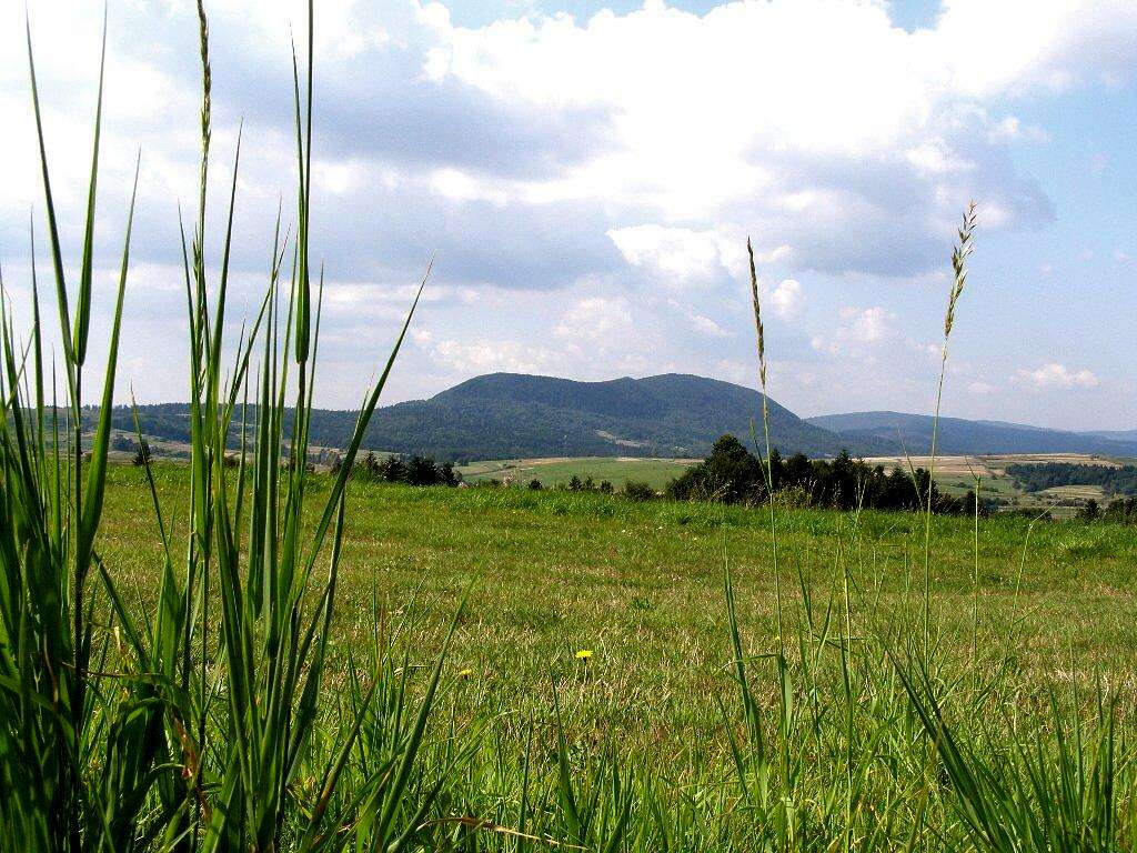 View from the trail Iwonicz Zdroj – Przymiarki