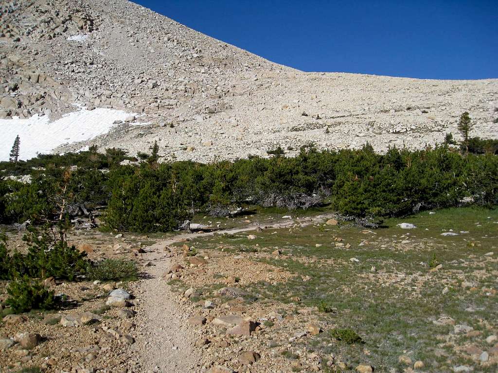 Trail to New Army Pass