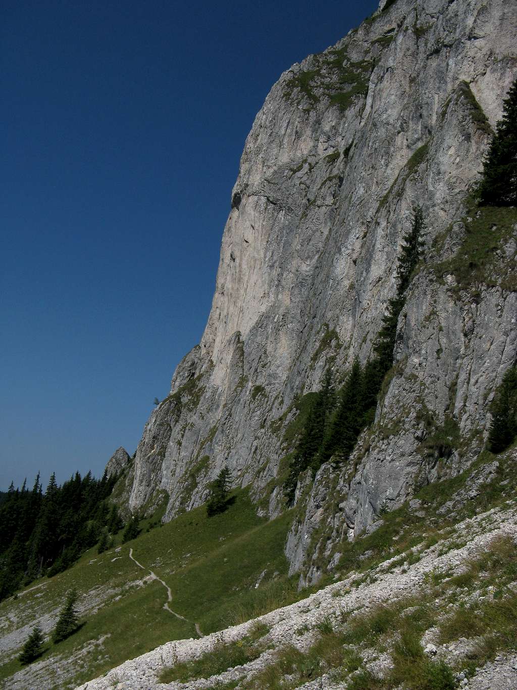 Limestone wall