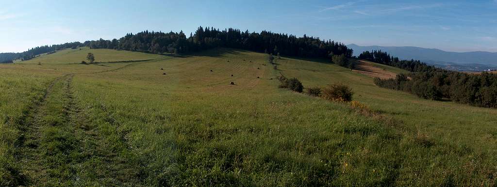 Łysa Góra east panorama