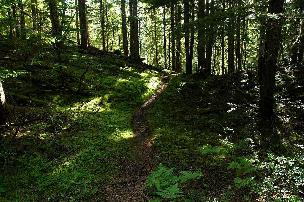 Lindmark Trail