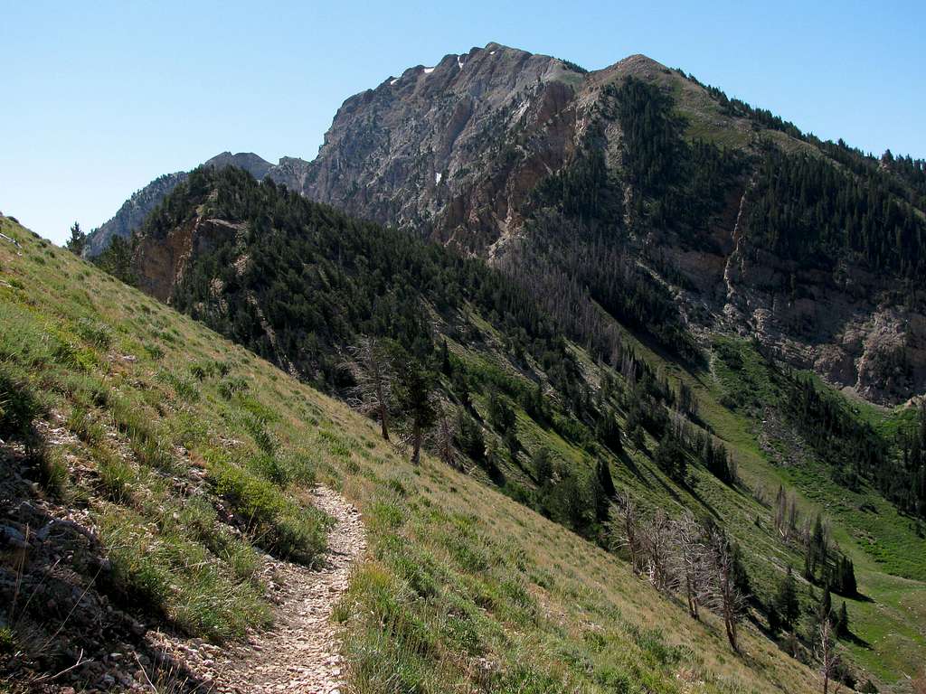 Deseret Peak from north ridge trail