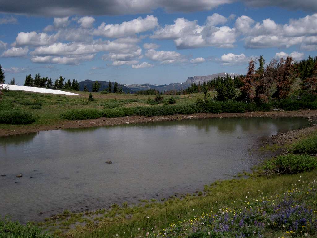 Tarn near the Top