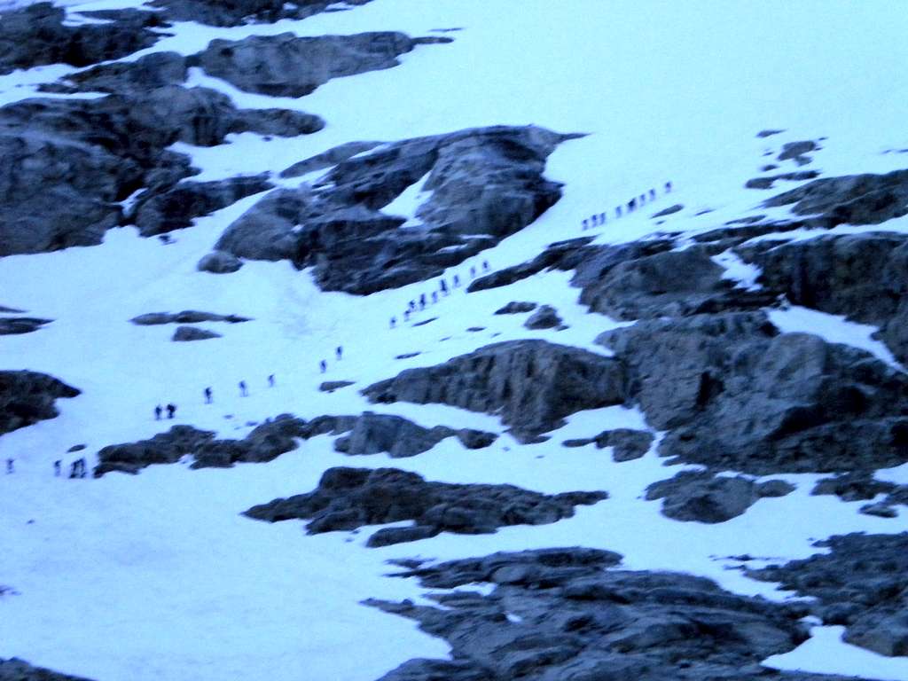 Ants on their way to Gran Paradiso.