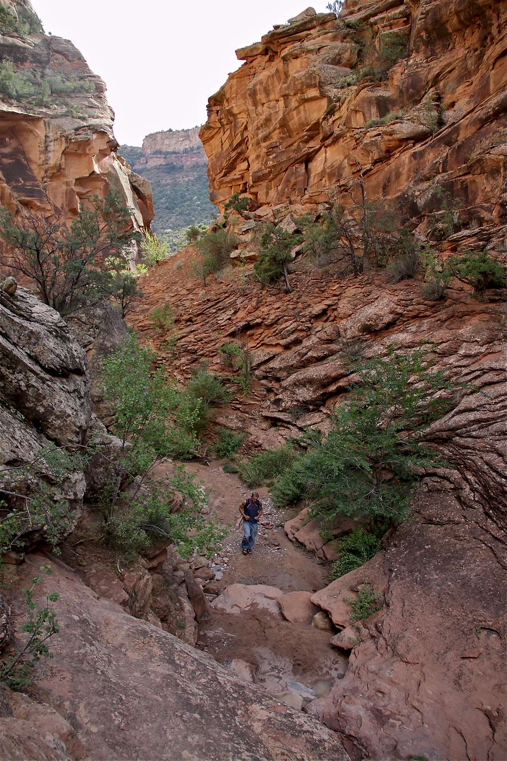 Scenery of Rough Canyon