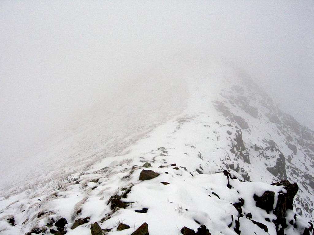 Wheeler Peak - summit ridge