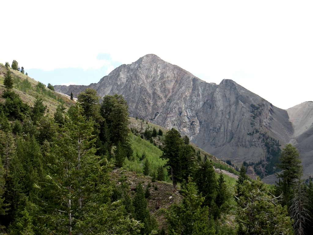 Unknown peak in the Pioneer Mts.