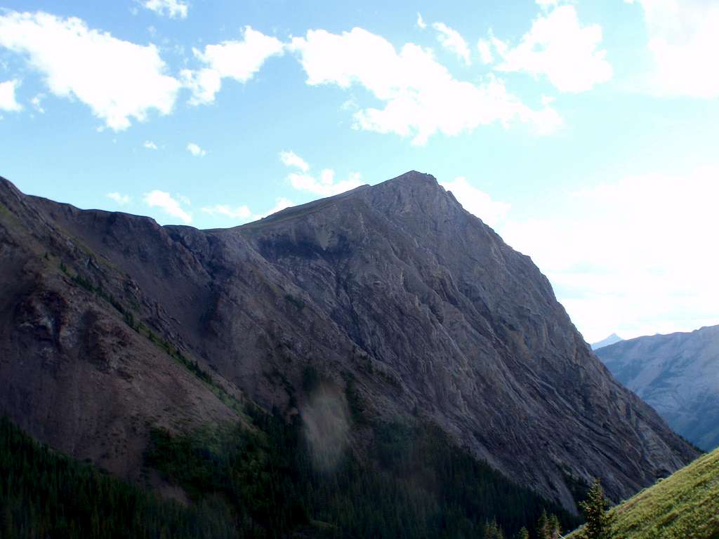 GR 328249 ('Grizzly Peak')