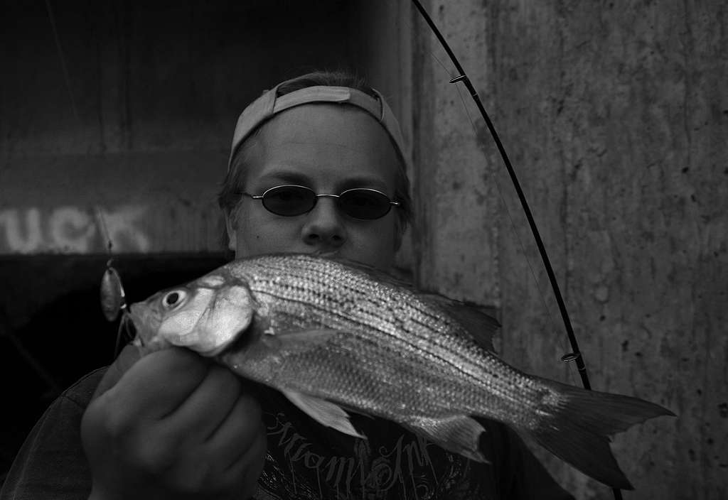 White Bass in SLC