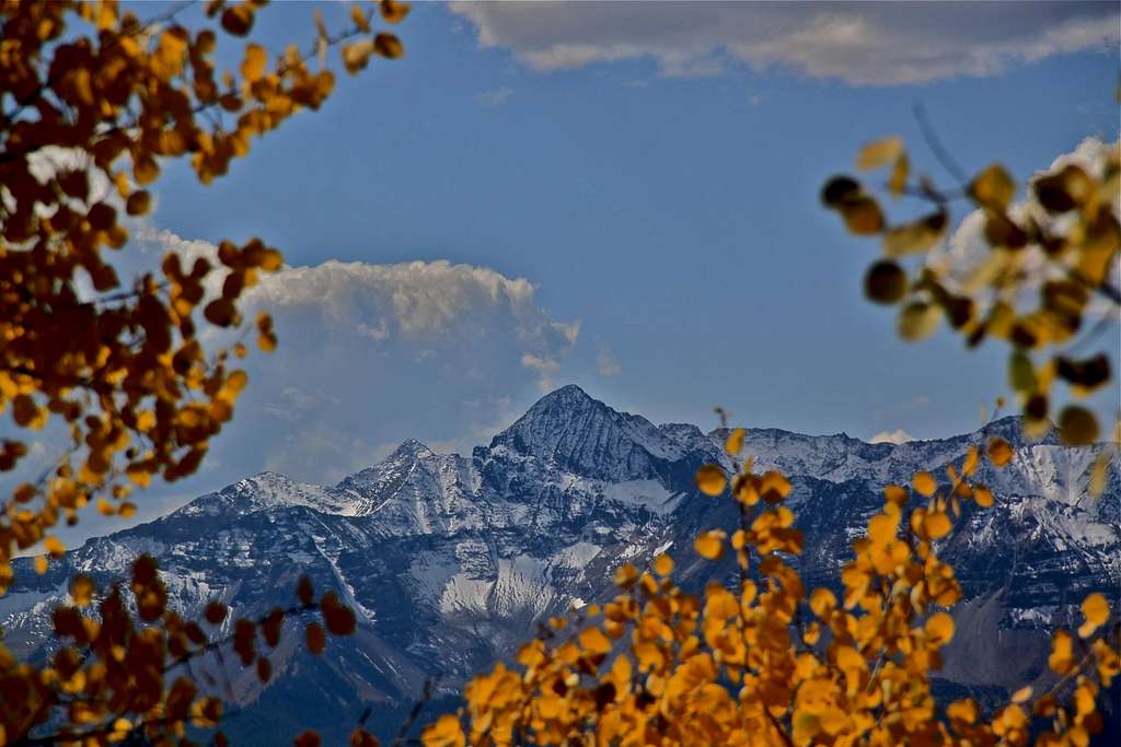 Wilson peak framed in fall colors