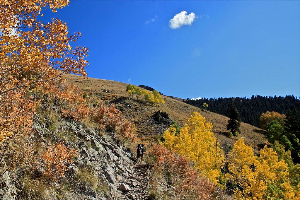 Whipple Trail with autumn colors