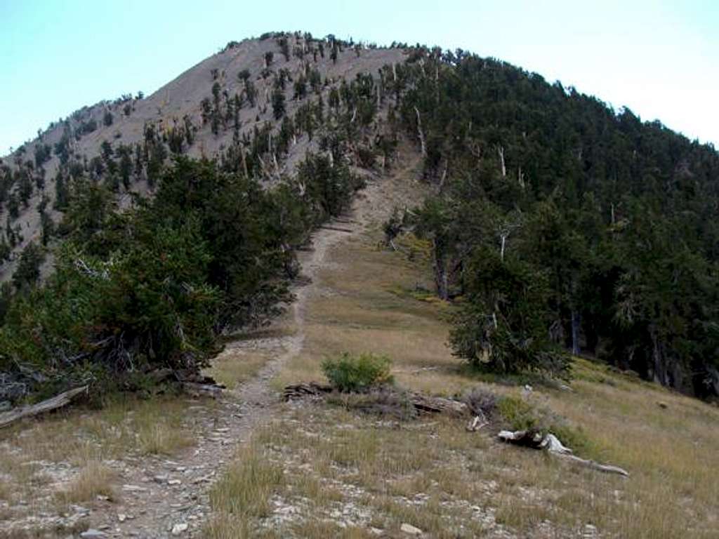 Griffith Peak