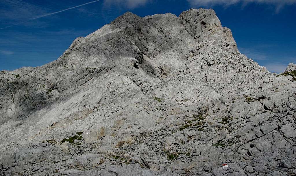 Monte Coglians