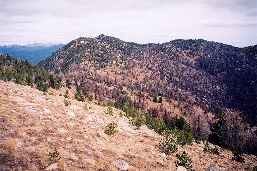 Coleman Peak from Reed Peak...