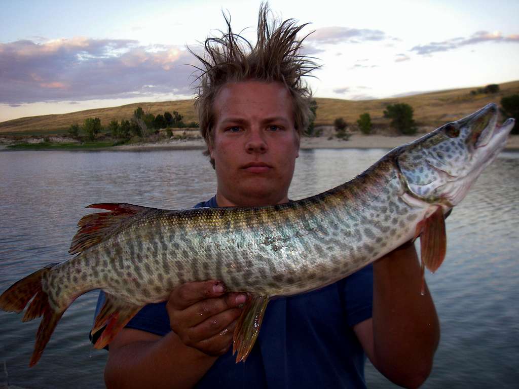 Tiger Muskie from Newton