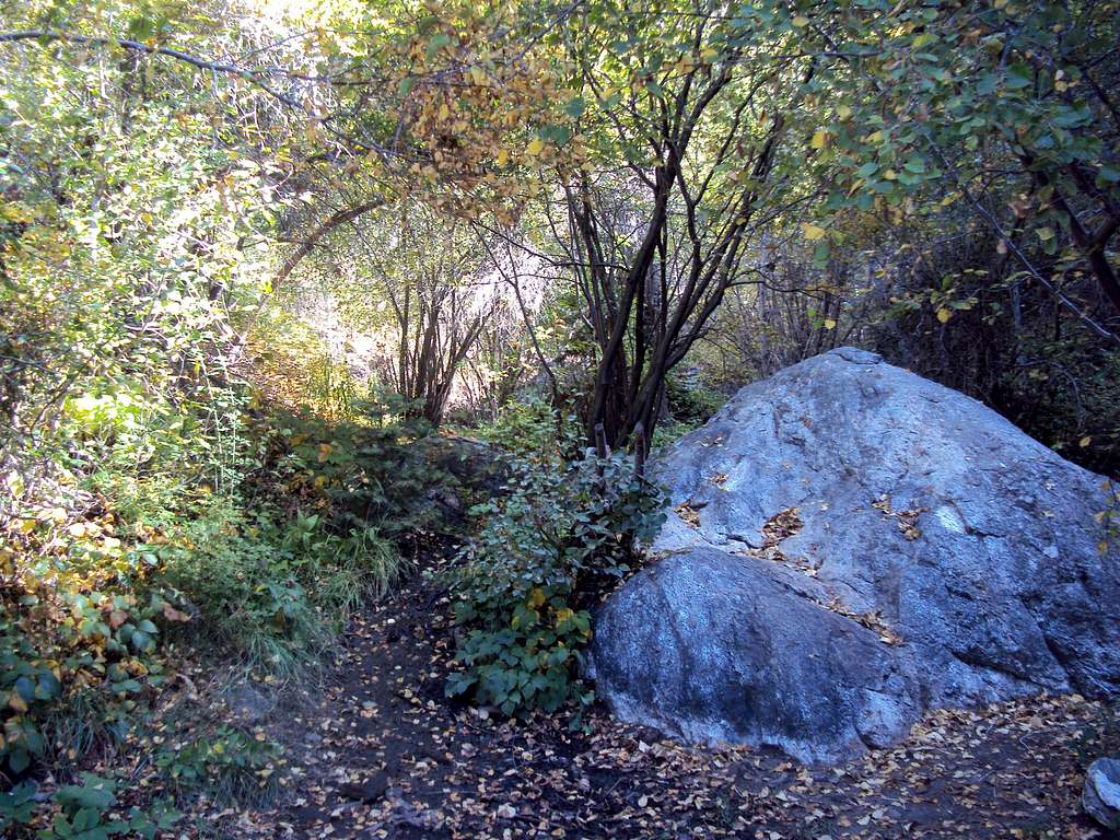 Centerville Canyon trail