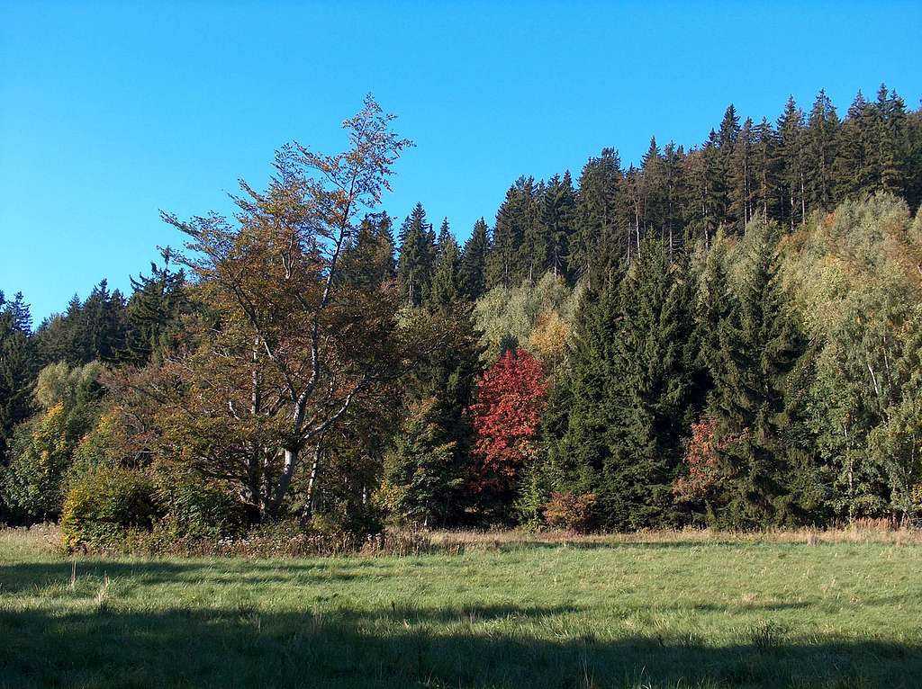 Near the south end of Grzbiet Lasocki