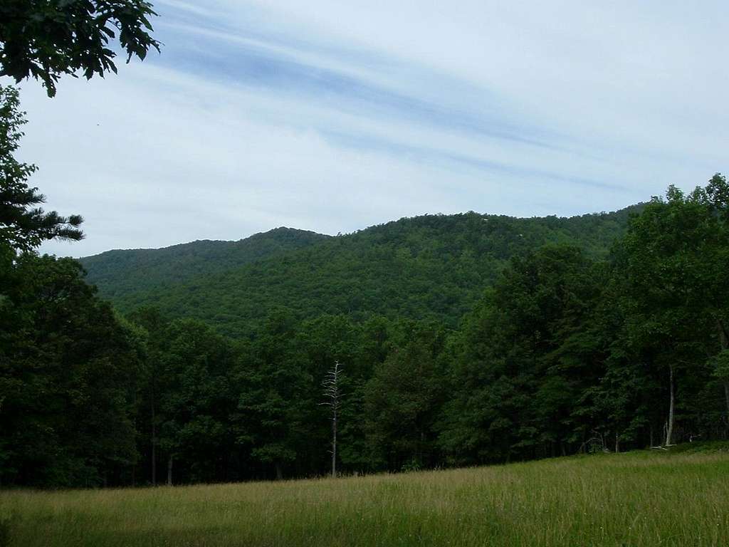 Great North Mountain from Laurel Run Trail