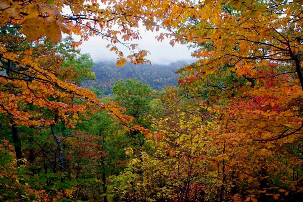 Fall in West Virginia