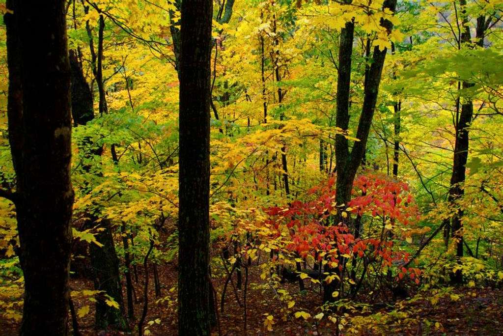 Fall Colors on Seneca Rocks