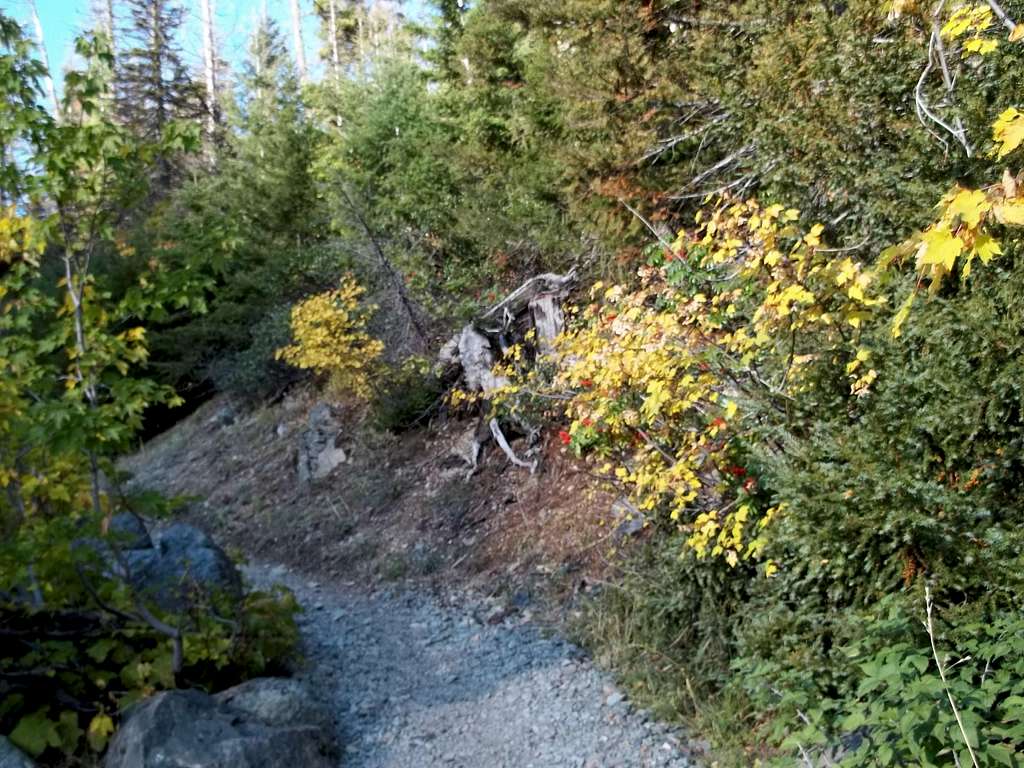 Fall colors at the trailhead of Ingalls Pass