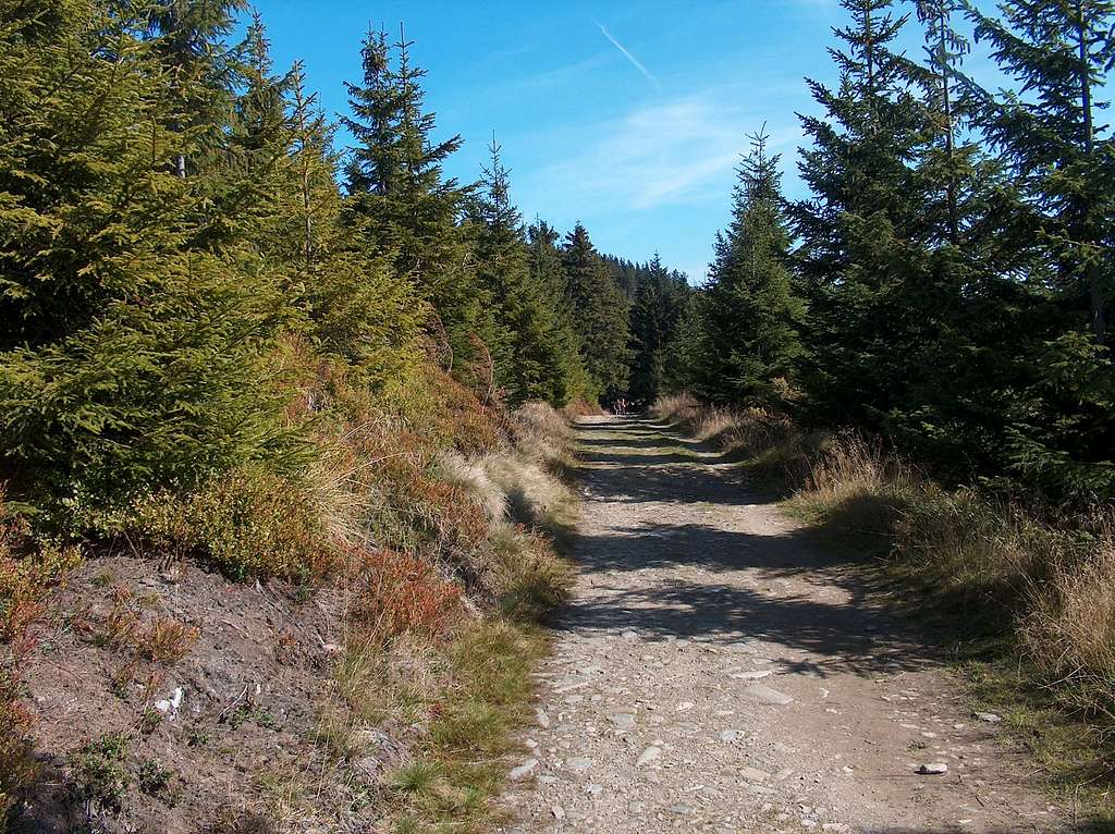 Trail along Kowarski Grzbiet