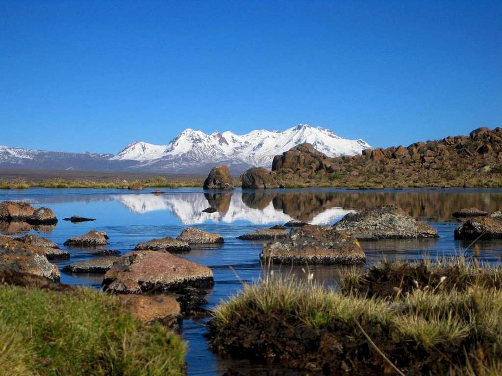Nevado Hualca Hualca from the east, from the wetlands NW of Nevado Chucura