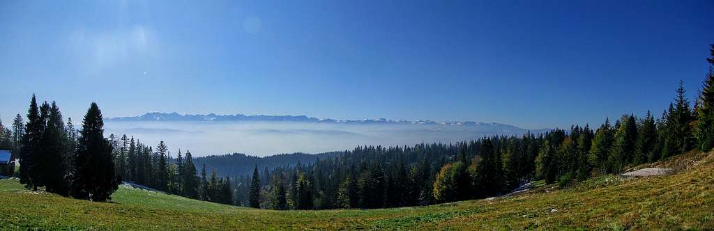 Whole Tatras from slopes of Turbacz