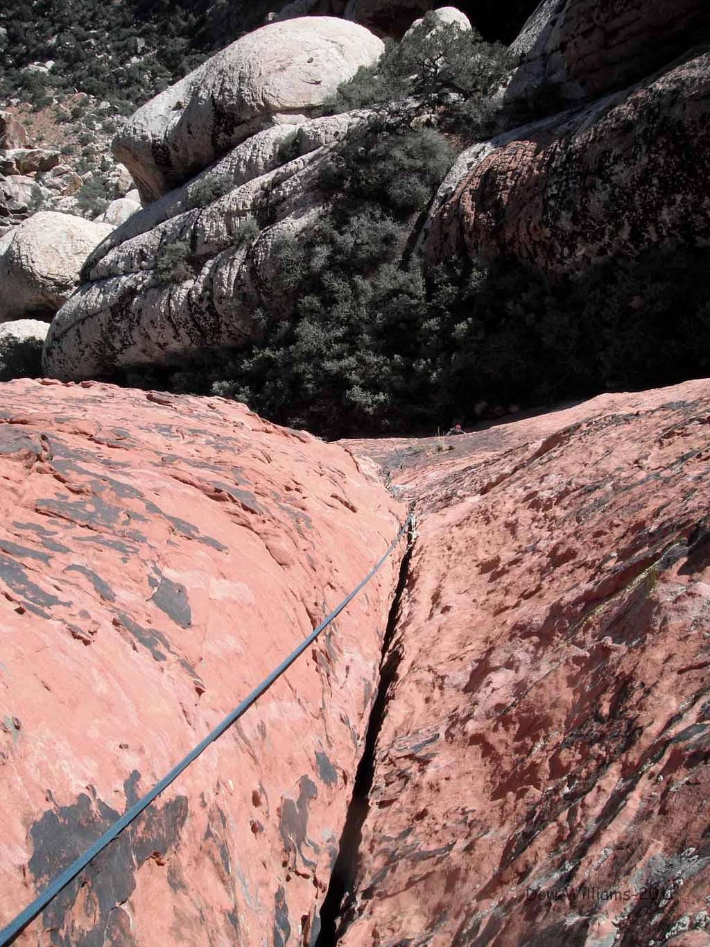 Cinnamon Hedgehog, 5.10a